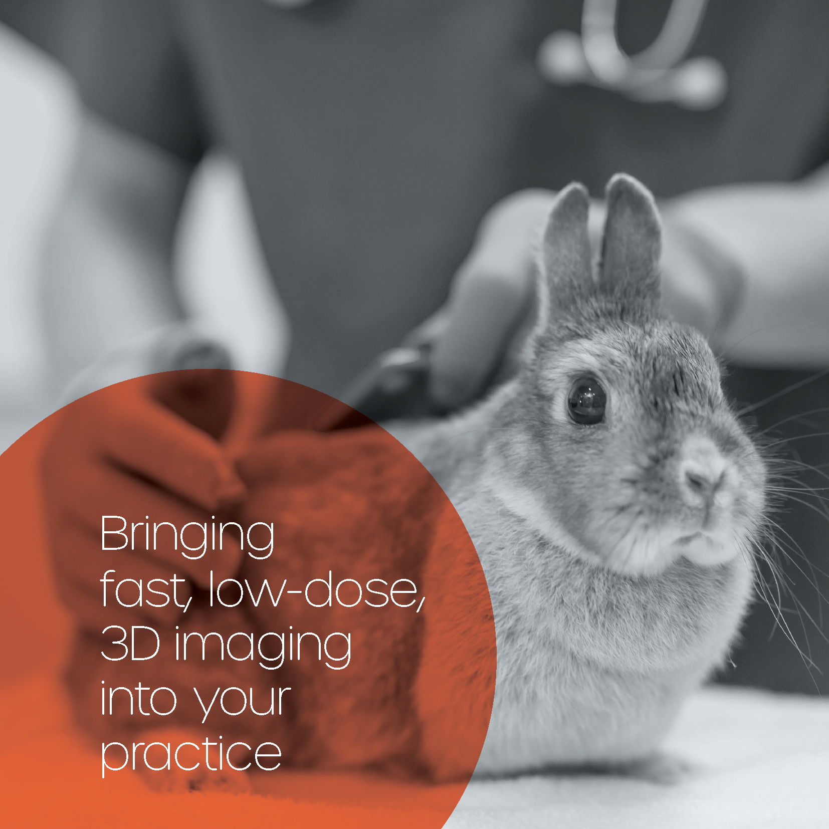 Adaptix-Vet-Brochure Images for Insta_Page_2