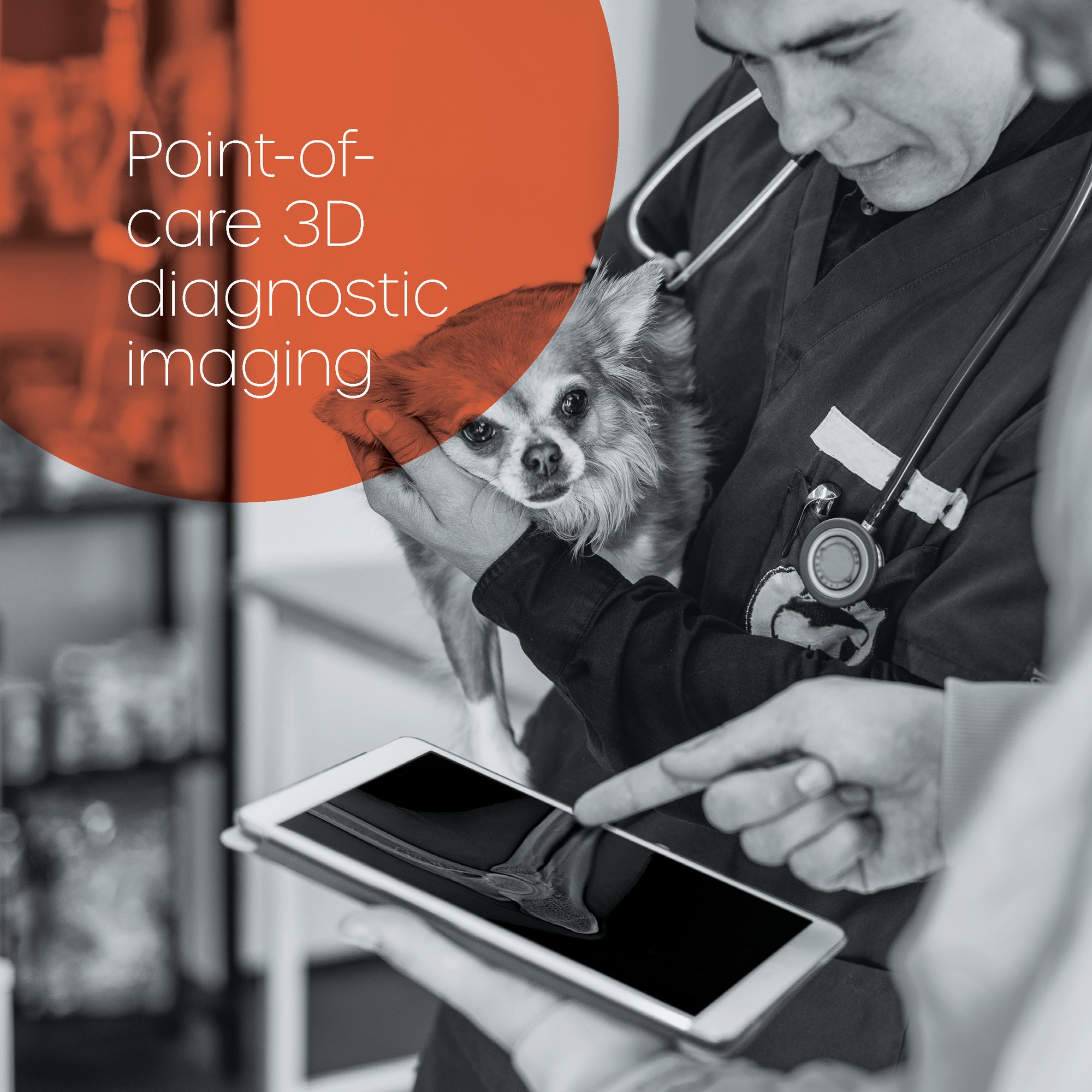 Adaptix-Vet-Brochure Images for Insta_Page_3 Adaptix-Vet-Brochure Images for Insta_Page_3